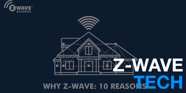 WHYZWAVEHEADER