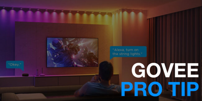 Govee Downlights met Alexa